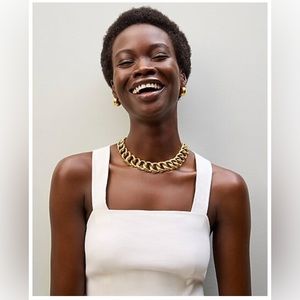 NWT j.crew gold link collar necklace